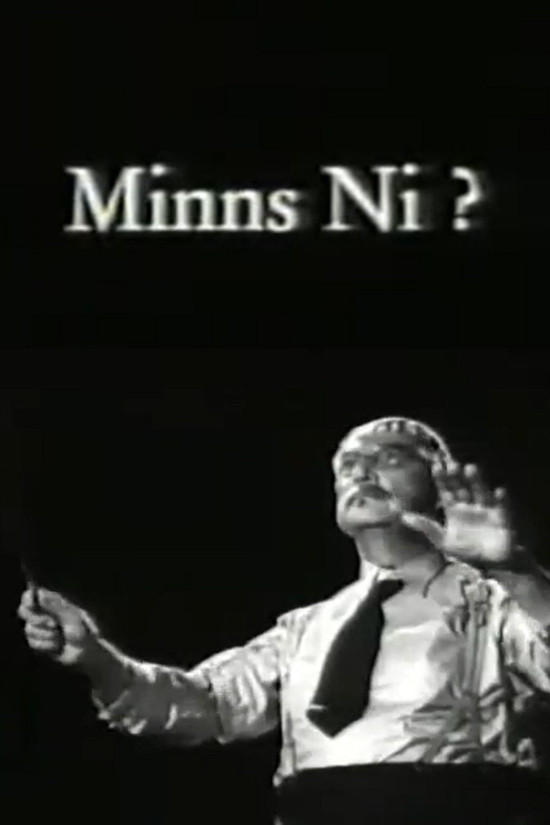 Постер Minns ni?